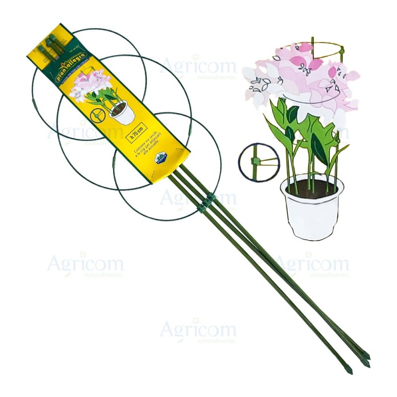 ART. 017 TUTORE PER FIORI CON CERCHIO H x 75 CM