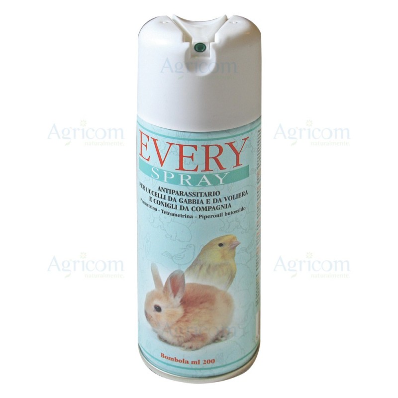 EVERY SPRAY 200 ML