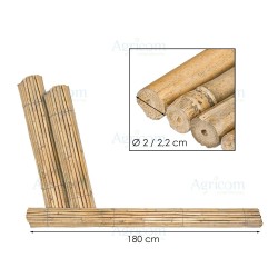 CANNA BAMBOO CM 20/22 x 180 H