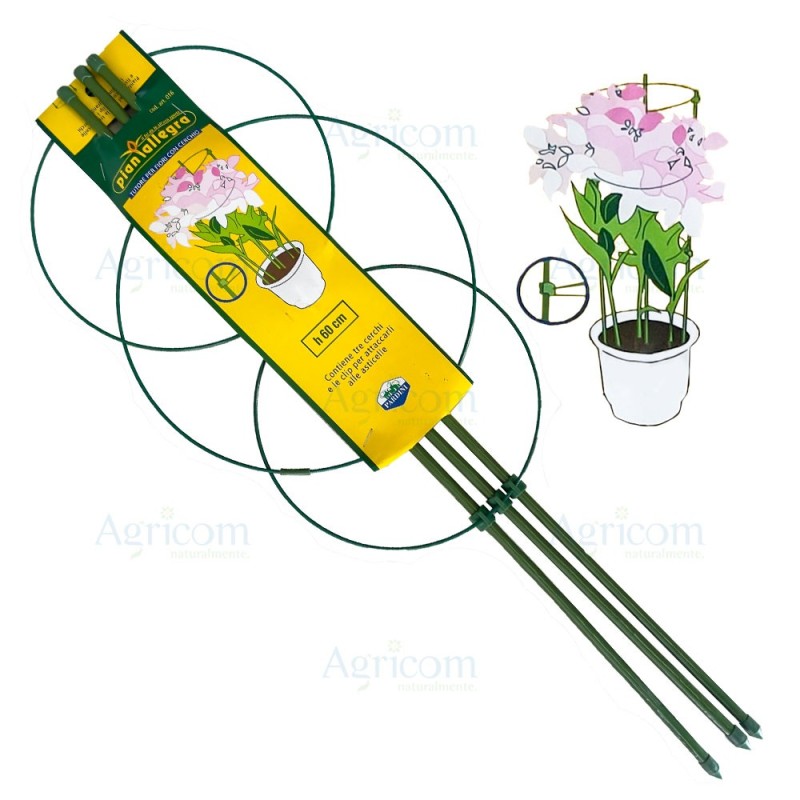 ART. 016 TUTORE PER FIORI CON CERCHIO H x 60 CM