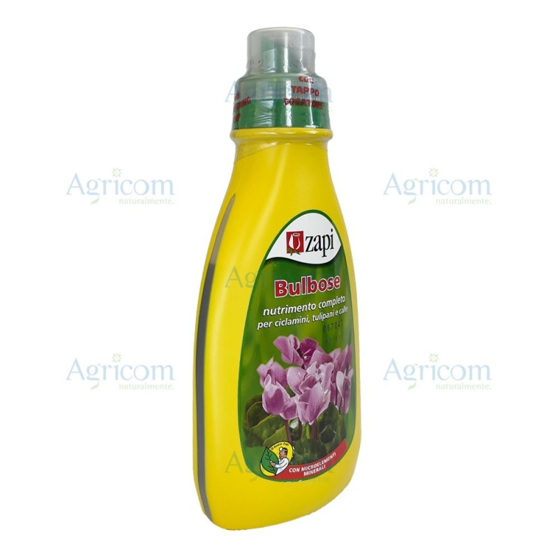 ZAPI BULBOSE LIQUIDO 500 ML