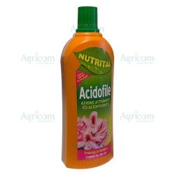 SUBSTRAL CONCIME LIQUIDO PIANTE ACIDOFILE 1 LT