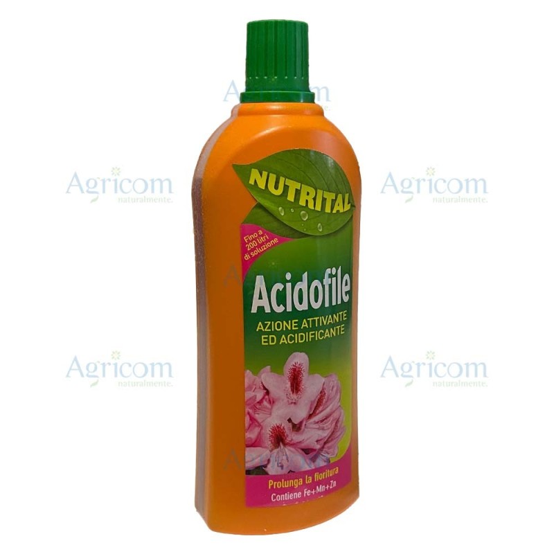 SUBSTRAL CONCIME LIQUIDO PIANTE ACIDOFILE 1 LT