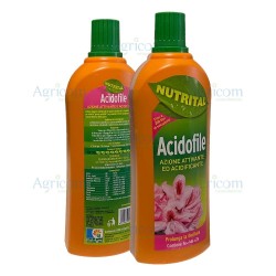 SUBSTRAL CONCIME LIQUIDO PIANTE ACIDOFILE 1 LT