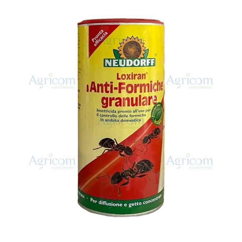 LOXIRAN ANTI-FORMICHE GRANULARE 500 GR