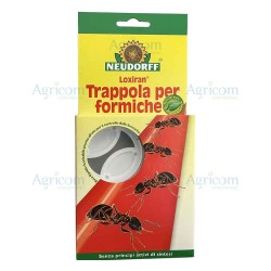 KOLLANT LOXIRAN TRAPPOLA PER FORMICHE-2 VASCH.+20 ML DI SOLUZION