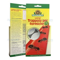 KOLLANT LOXIRAN TRAPPOLA PER FORMICHE-2 VASCH.+20 ML DI SOLUZION
