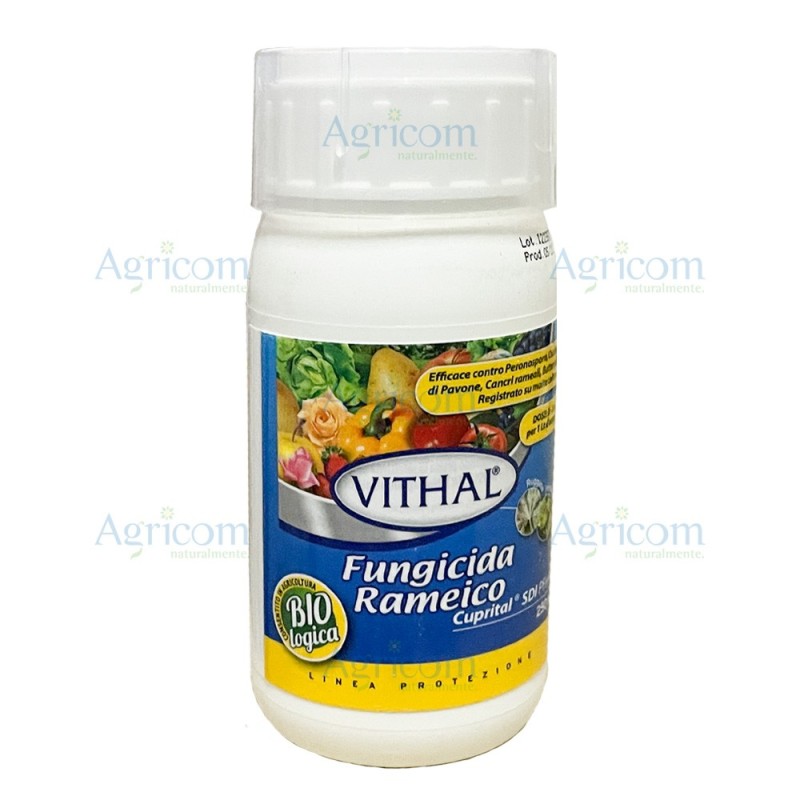 VITHAL CUPRITAL SDI 250 ML