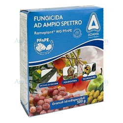 RAMEPLANT WG 500 GR