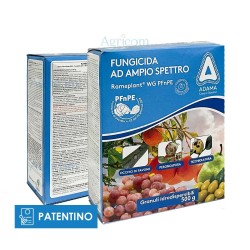 RAMEPLANT WG 500 GR