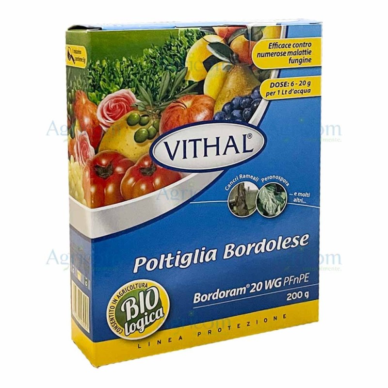 VITHAL BORDORAM 20 WG 200 GR