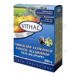 VITHAL FILAL WG 250 GR
