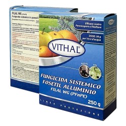 VITHAL FILAL WG 250 GR