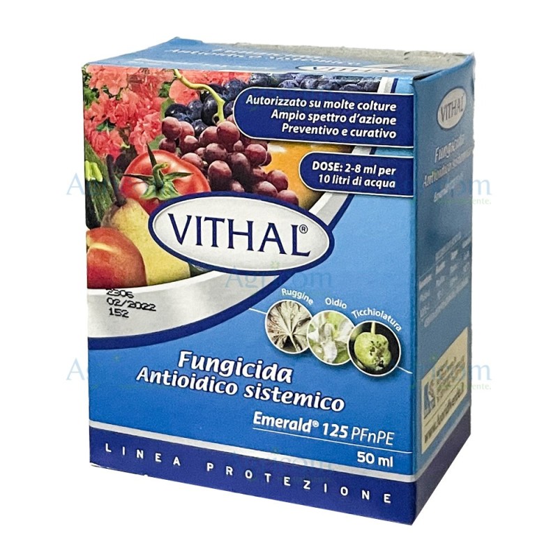 VITHAL EXPERT EMERALD 125 - 50 ML