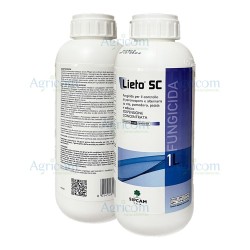 LIETO SC - 1 LT