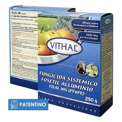 VITHAL FILAL WG 250 GR