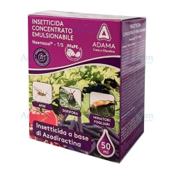 KOLLANT NEEMAZAL 50 ML
