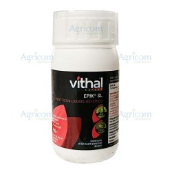 VITHAL EXPERT EPIK SL 250 ML