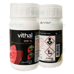 VITHAL EXPERT EPIK SL 250 ML