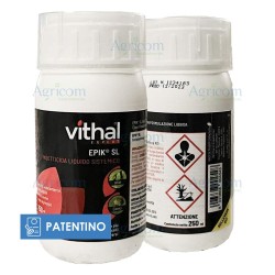 VITHAL EXPERT EPIK SL 250 ML
