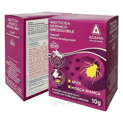 TEPPEKI 10 GR