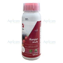 VEBI KENPYR PFnPE 500 ML