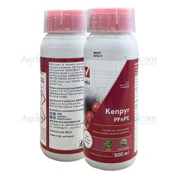 VEBI KENPYR PFnPE 500 ML