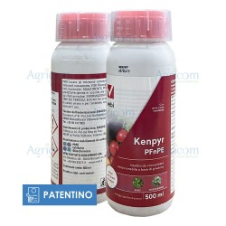 VEBI KENPYR PFnPE 500 ML