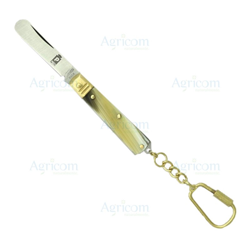ART. 424C ESPOSITORE x 12 PZ, TEMPERINO RASOLINO CON CIONDOLO
