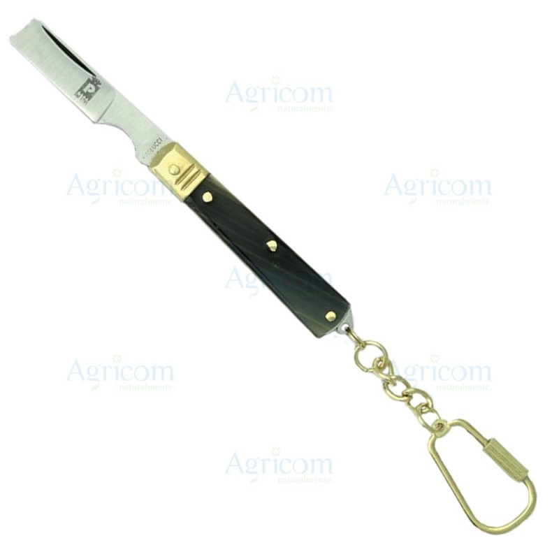 ART. 120C ESPOSITORE x 6 PZ, TEMPERINO LAMA RASOIO CON CIOND