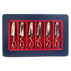 ART. 120C ESPOSITORE x 6 PZ, TEMPERINO LAMA RASOIO CON CIOND