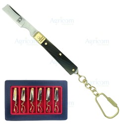 ART. 120C ESPOSITORE x 6 PZ, TEMPERINO LAMA RASOIO CON CIOND