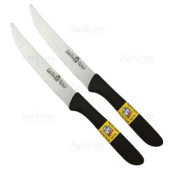 ART. 561 SET 2 COLTELLI BISTECCA, MANICI IN NYLON, LAME INOX