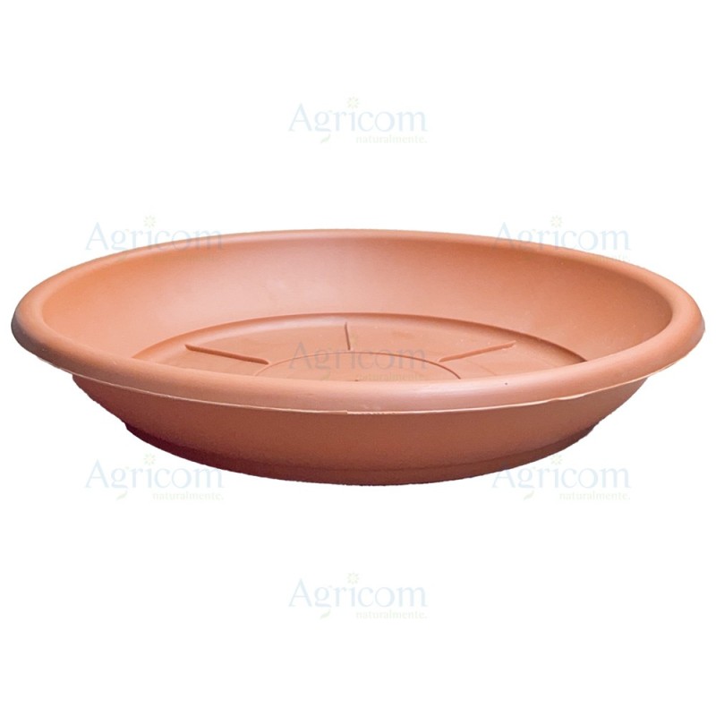 SOTTOVASO PETRA