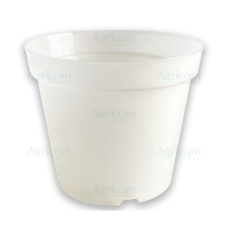 VASO ORCHIDEA | ALABASTRO