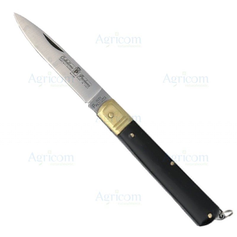 ART. 84 COLTELLO SFILATO