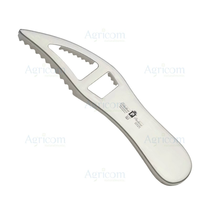 ART. 943 SQUAMA PESCE, INOX - 28 CM