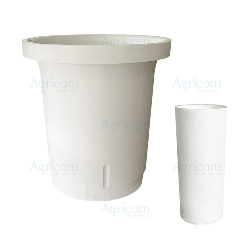 VASO VIAREGGIO