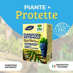 ALBAGARDEN MOMENTUM PFnPE 180 g