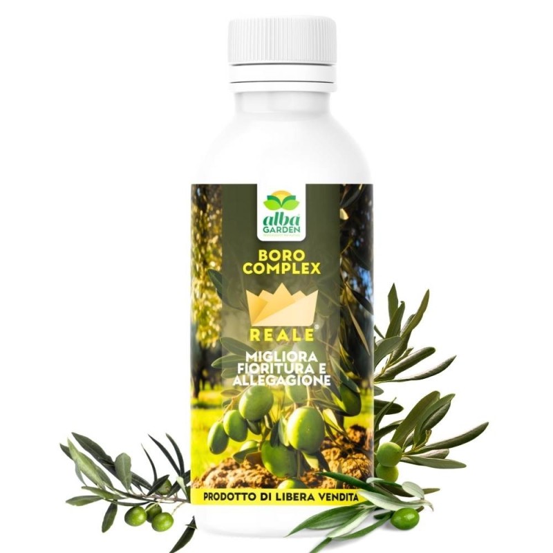 ALBAGARDEN BORO COMPLEX 1 Kg