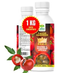 ALBAGARDEN FEED CAM - CALCIO MAGNESIO 1 KG