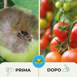 ALBAGARDEN FEED CAM - CALCIO MAGNESIO 1 KG