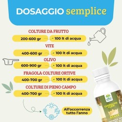 ALBAGARDEN CUPROLIVO FLOW 1 Kg - CONCIME CE