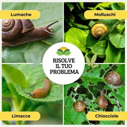 ALBAGARDEN ESCA LUMACHICIDA IRONITE PFnPE 1 Kg