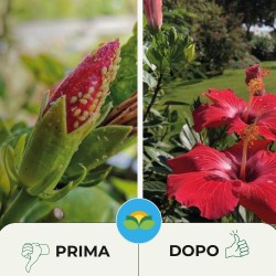 ALBAGARDEN INSETTICIDA PIRETRO GARDEN PFnPO 500 ml RTU