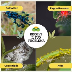 ALBAGARDEN INSETTICIDA SPRUZIT CONCENTRATO 10 ml