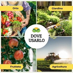 ALBAGARDEN BACILLUS PFnPE 10 GR ORTO