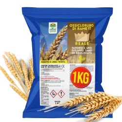 ALBAG OSSICLORURO DI RAME REALE 17% x 1 Kg CONCIME CE