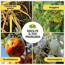 ALBAG OSSICLORURO DI RAME REALE 17% x 1 Kg CONCIME CE