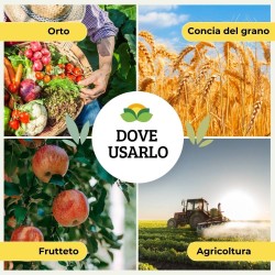 ALBAG OSSICLORURO DI RAME REALE 17% x 1 Kg CONCIME CE